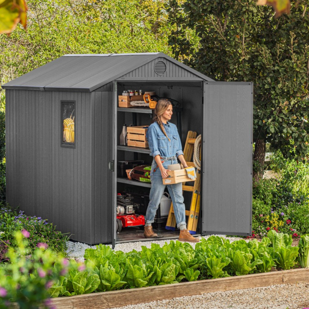 Darwin 6x8ft (1.9m x 2.4m) Shed | PREORDER MARCH