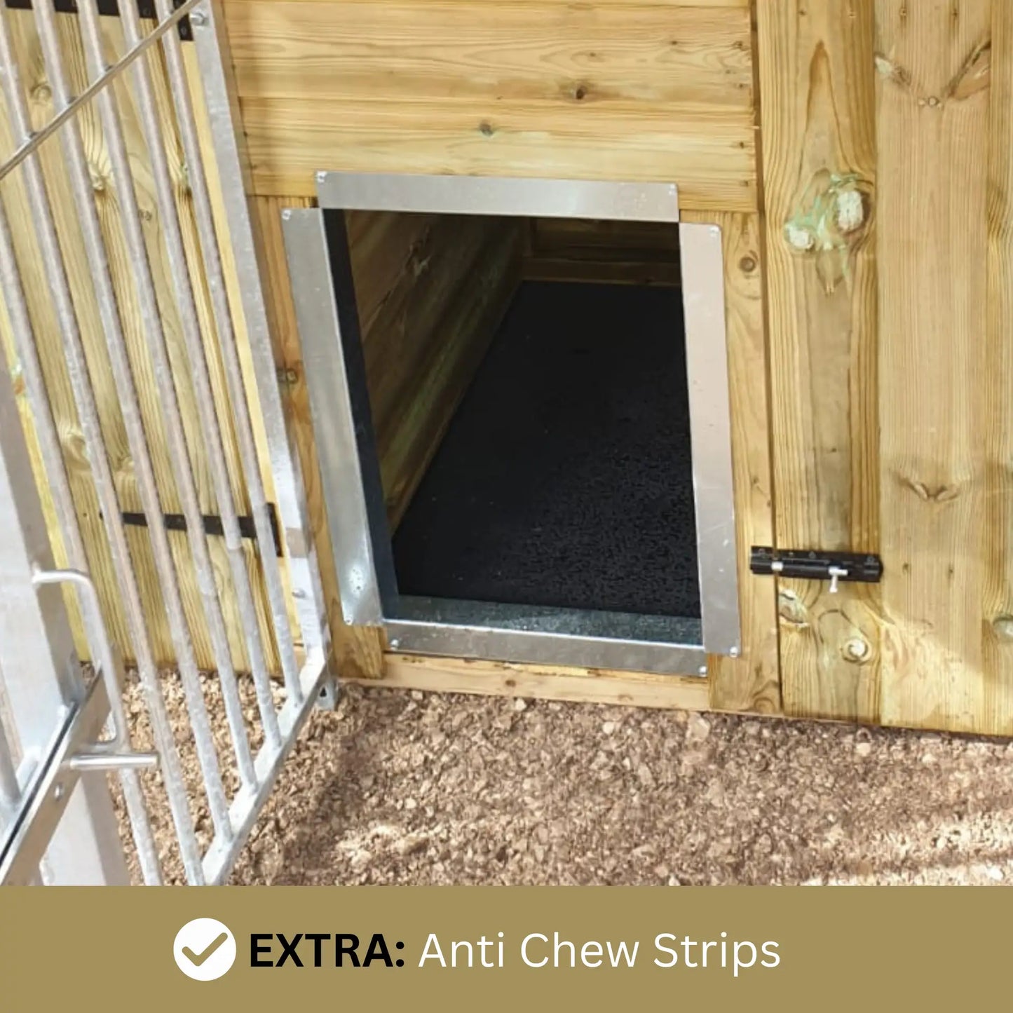 6 x 3ft Single Dog Kennel – Professional Installation Included