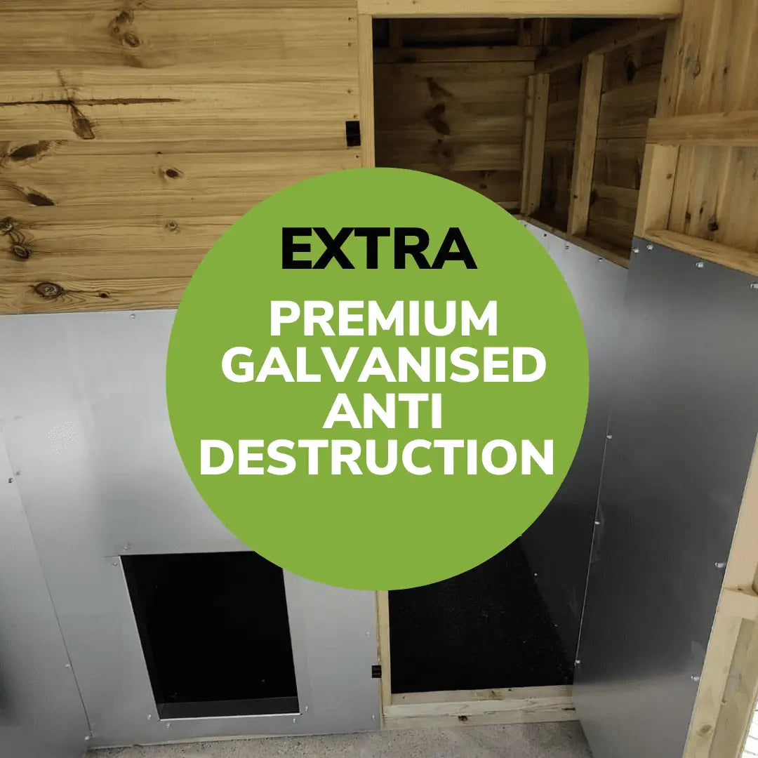 15 x 4ft Pent Duo Dog Kennel – Professional Installation Included